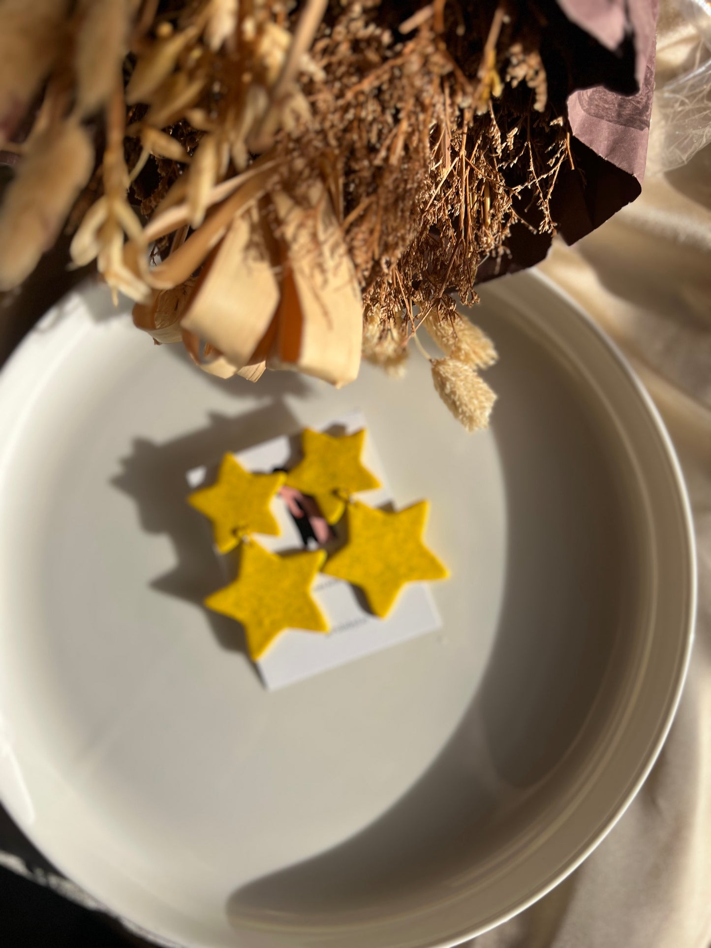 Doble Star earrings