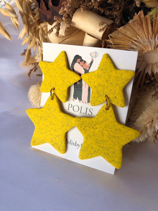 Doble Star earrings